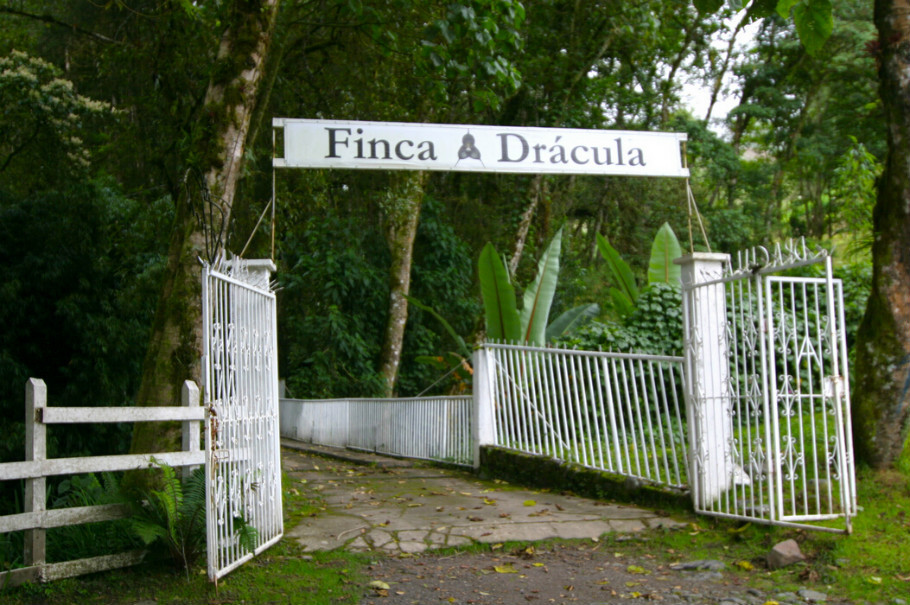 各类工作室之鱼房、草场、蛙室—12：Finca Dracula