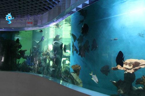 中国首届世界水族宠物及用品博览会即将开幕