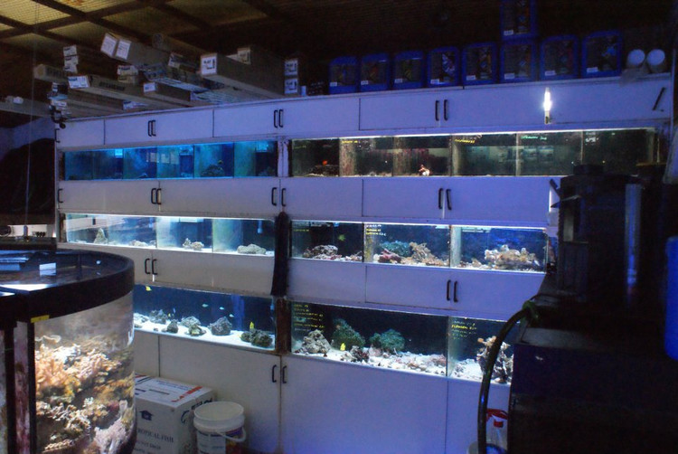 国外水族店：H2O  Aquarium
