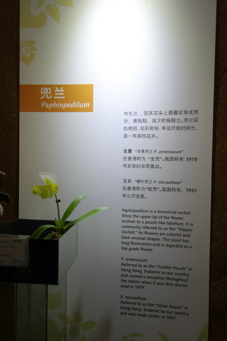 上海辰山植物园：第二届上海国际兰展