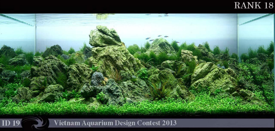 Vietnam Aquarium Design Contest 2013