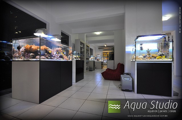国外水族店－Aqua  Studio