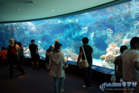日本冲绳县水族馆