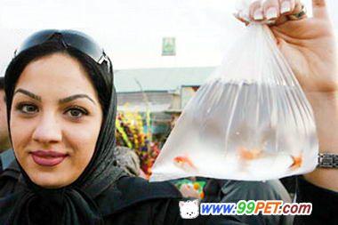 伊朗新年 金鱼祈吉祥