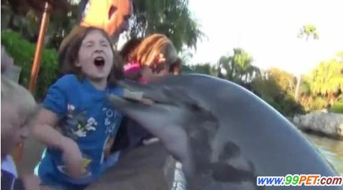 8岁女孩遭海豚咬左手