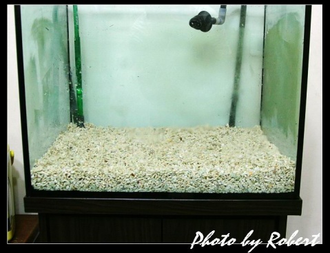 苏拉维虾虾缸设置流程