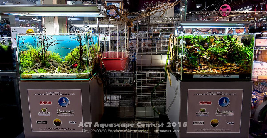 ACT Aquascape Contest 2015