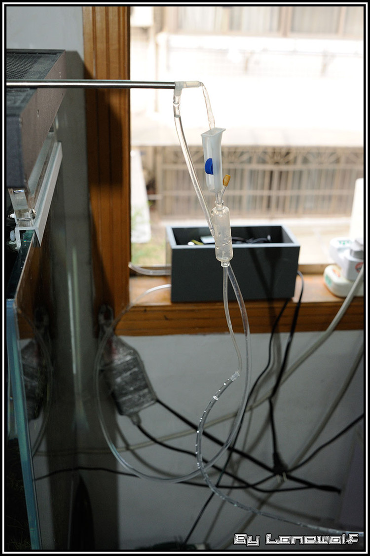 DIY鱼缸自动换水装置，微量换水，原理示意图+详细过程