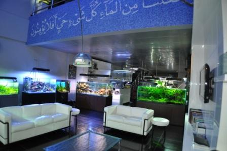 一个阿拉伯国家的精品水族店