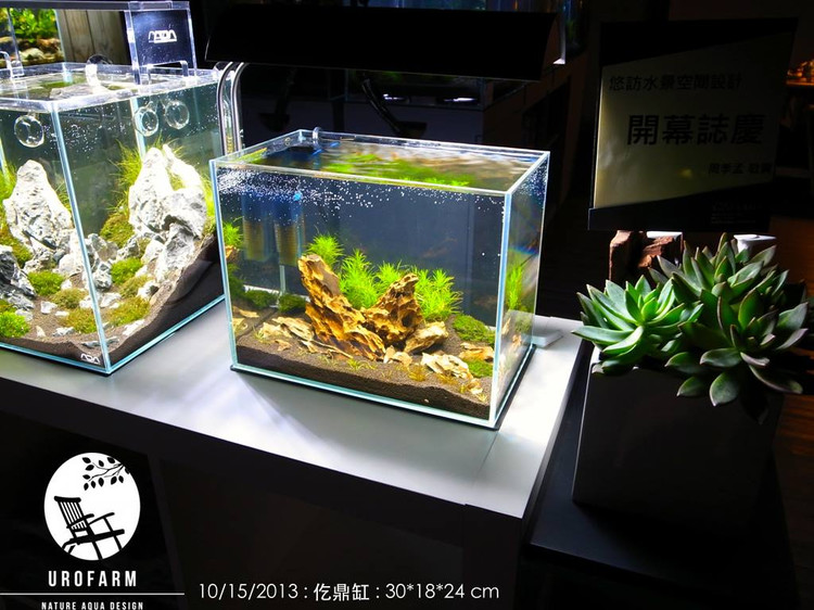 台湾水族店：Uro Farm 悠访