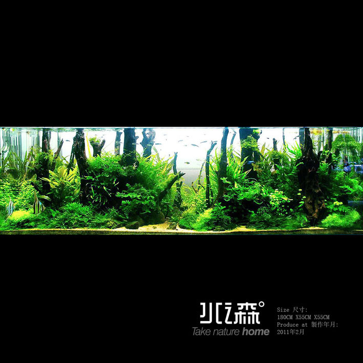 《水之森水景空间设计》－2011年5月作品集
