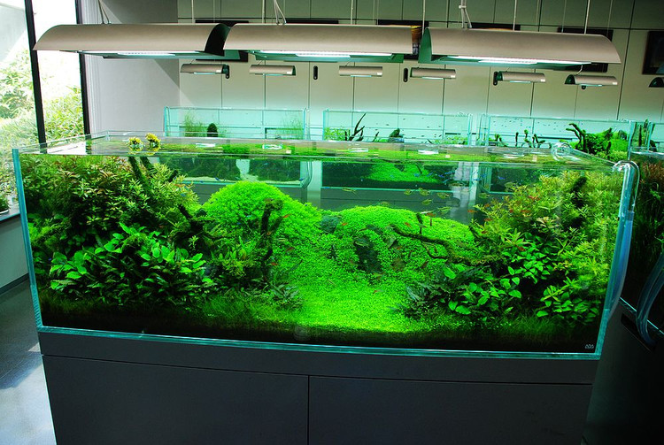 日本ADA展厅设计作品－2010年10月