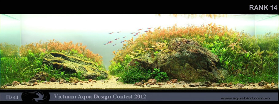 Vietnam Aquarium Design Contest 2012