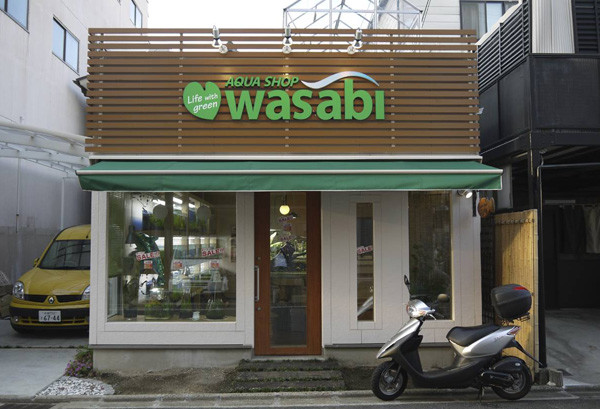 国外水族店：wasabi