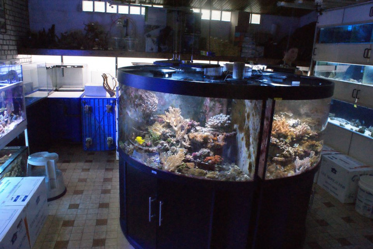 国外水族店：H2O  Aquarium