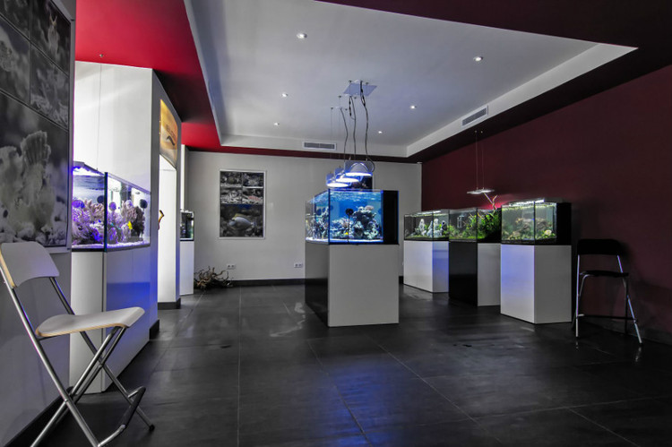 国外水族店： Elos AquaStudio Nizza - France