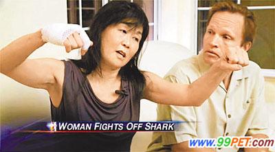 美国妇女海中游泳时用跆拳黑空手击退鲨鱼
