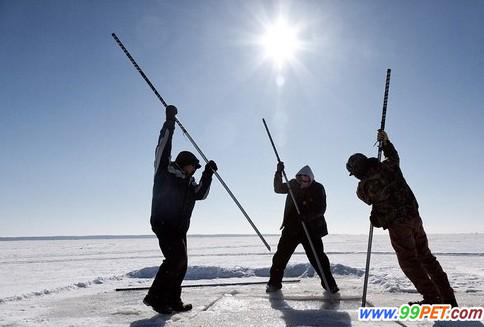 零下14度湖上凿冰捕鲟鱼