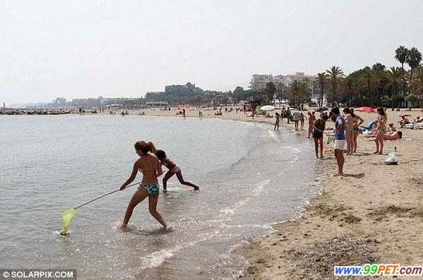 水母入侵西班牙海滩