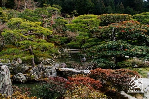 日式庭園與水族造景