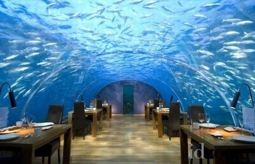 建在海底的酒店 房间就是水族馆