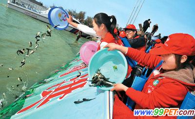 首届洪泽湖“放鱼节”举行 放流各类鱼种22万尾