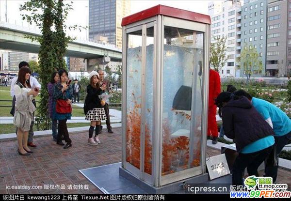 日本一电话亭变身金鱼缸