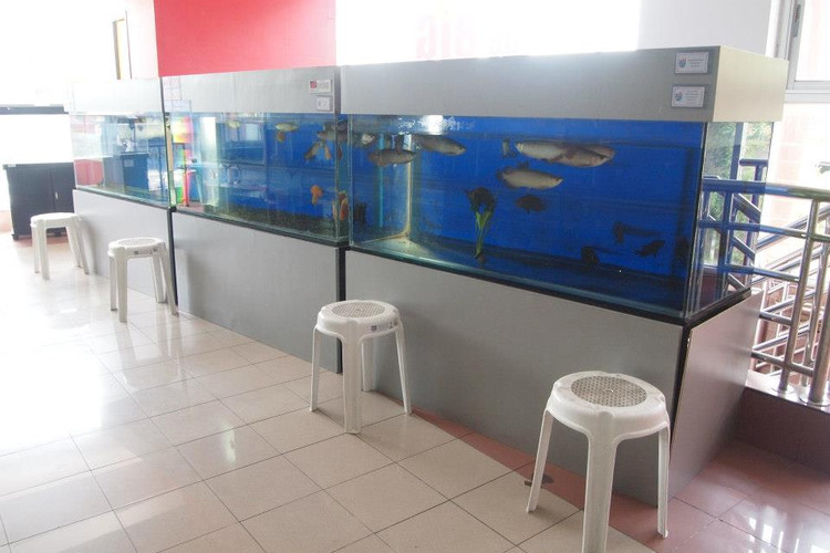 国外水族店：The big fish place