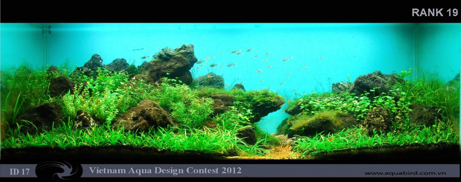 Vietnam Aquarium Design Contest 2012