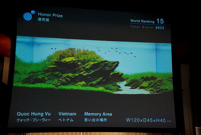 2010年ADA水草造景大赛获奖作品