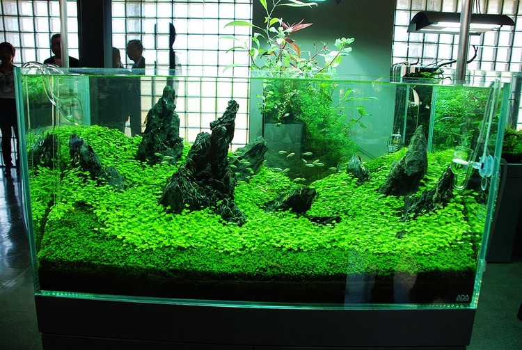 日本ADA展厅设计作品－2010年10月