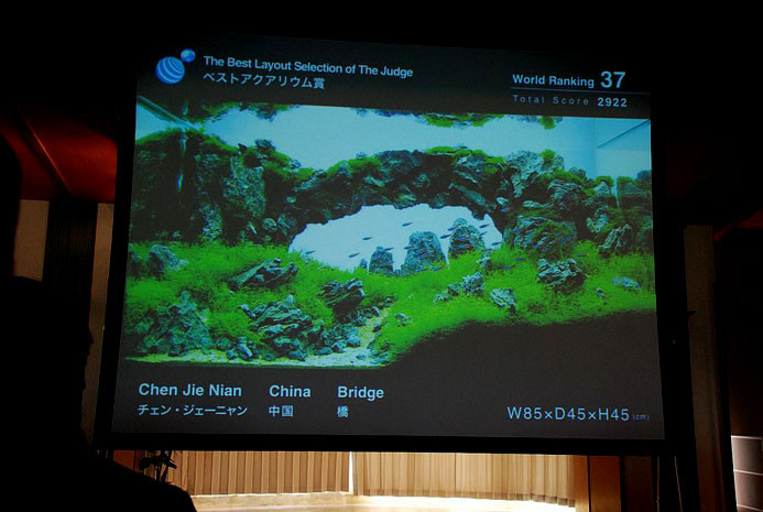 2010年ADA水草造景大赛获奖作品