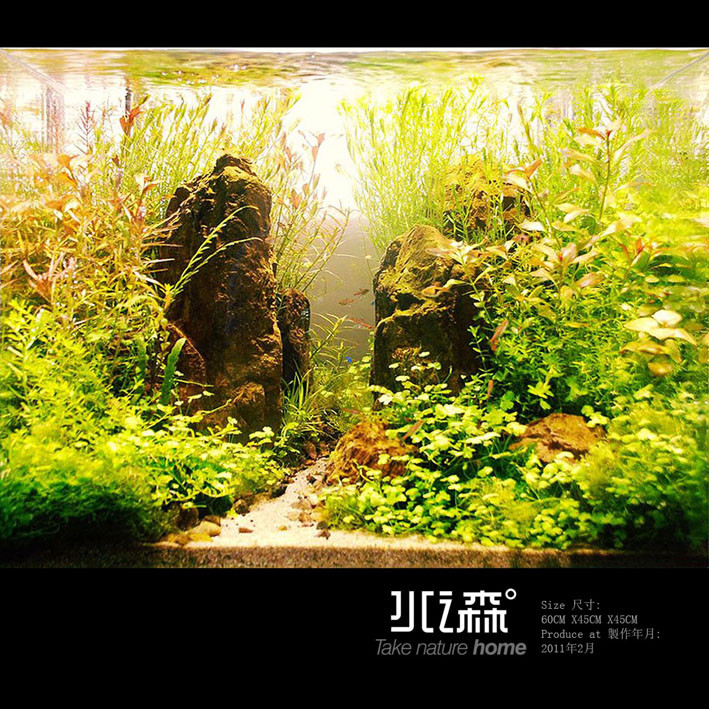 《水之森水景空间设计》－2011年5月作品集