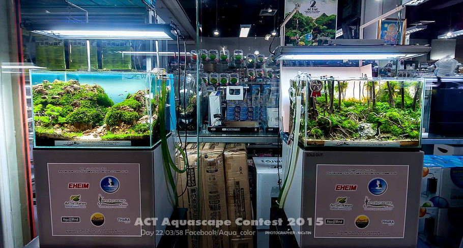 ACT Aquascape Contest 2015