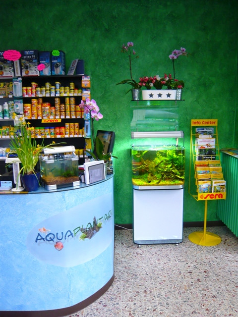 国外水族店：aquaplantarum