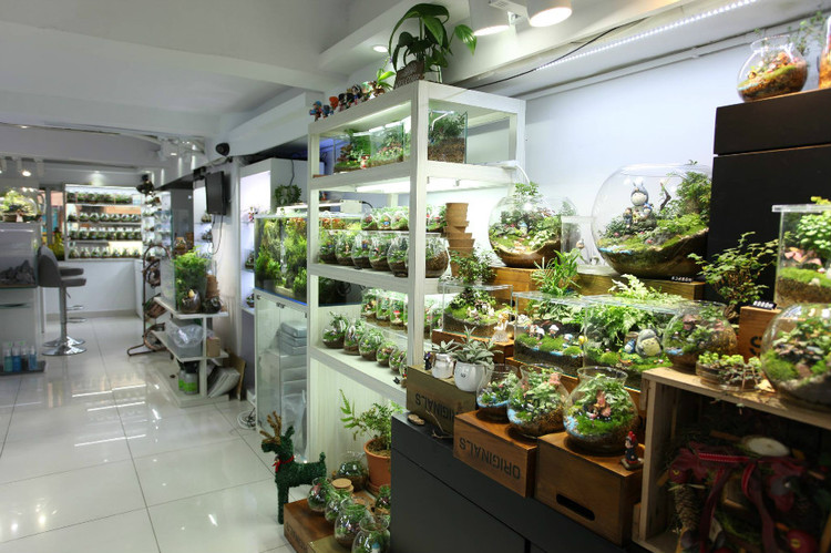 香港微景观植物造景店：Green Concept