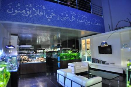 一个阿拉伯国家的精品水族店