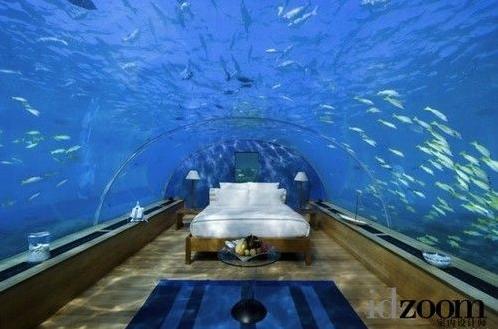 建在海底的酒店 房间就是水族馆