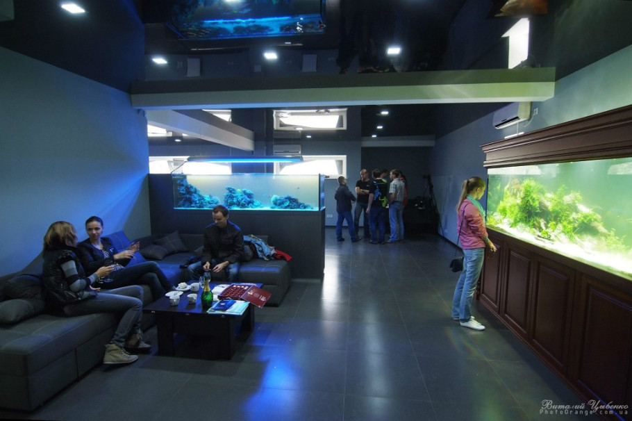 国外水族店：aquaproject