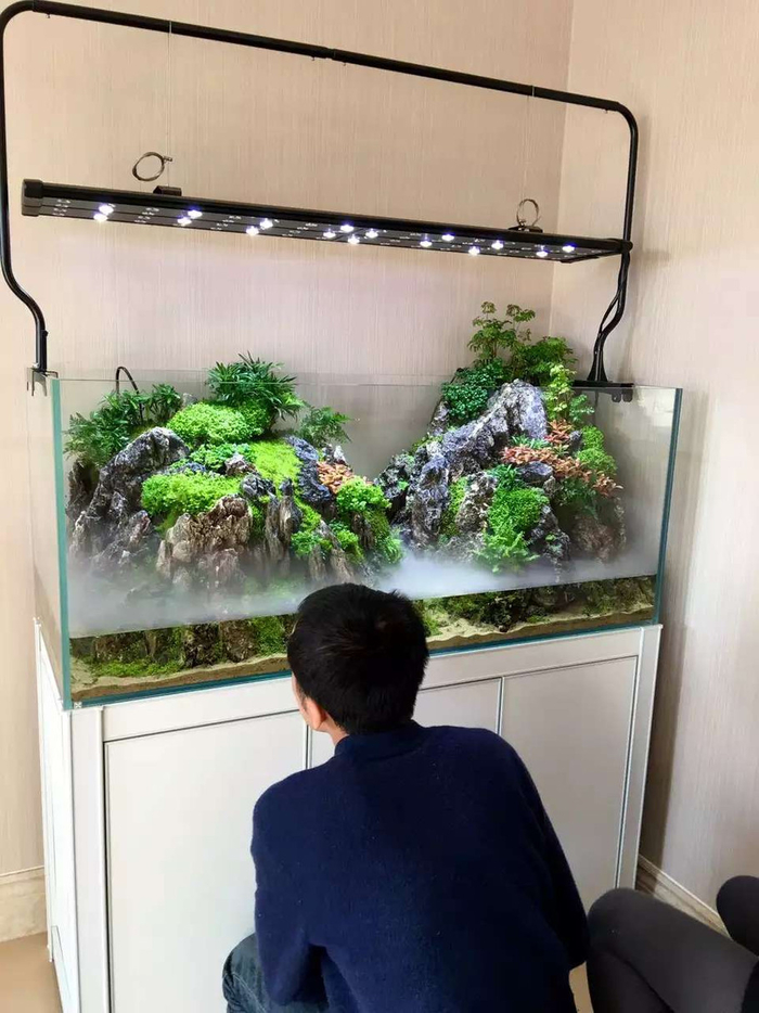 北京悦赏自然生态造景馆水陆缸案例
