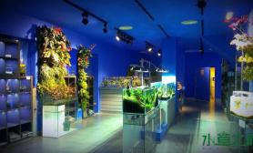 水族箱造景Natur Gallery  -----名叫自然界画廊的水族店