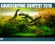 参赛作品Web Aquascaping Contest 2016