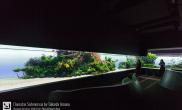 天野尚先生的里斯本海洋水族馆40米巨型水草缸