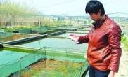 扬州鱼池面临“水危机”鱼塘一次清出3000斤死鱼（图）