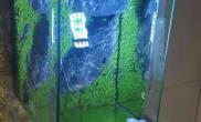 海藻面膜开的小缸