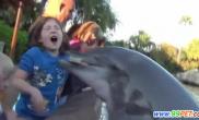 8岁女孩遭海豚咬左手（图）