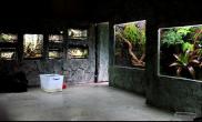 深圳野生动物园爬行动物馆工程
