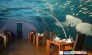 世界上首家海底餐馆（图）