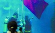 世界动物日海洋馆观礼升旗式（图）