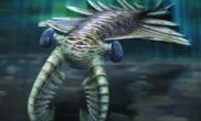 古生物学家水草缸造景奇虾称霸寒武纪海洋